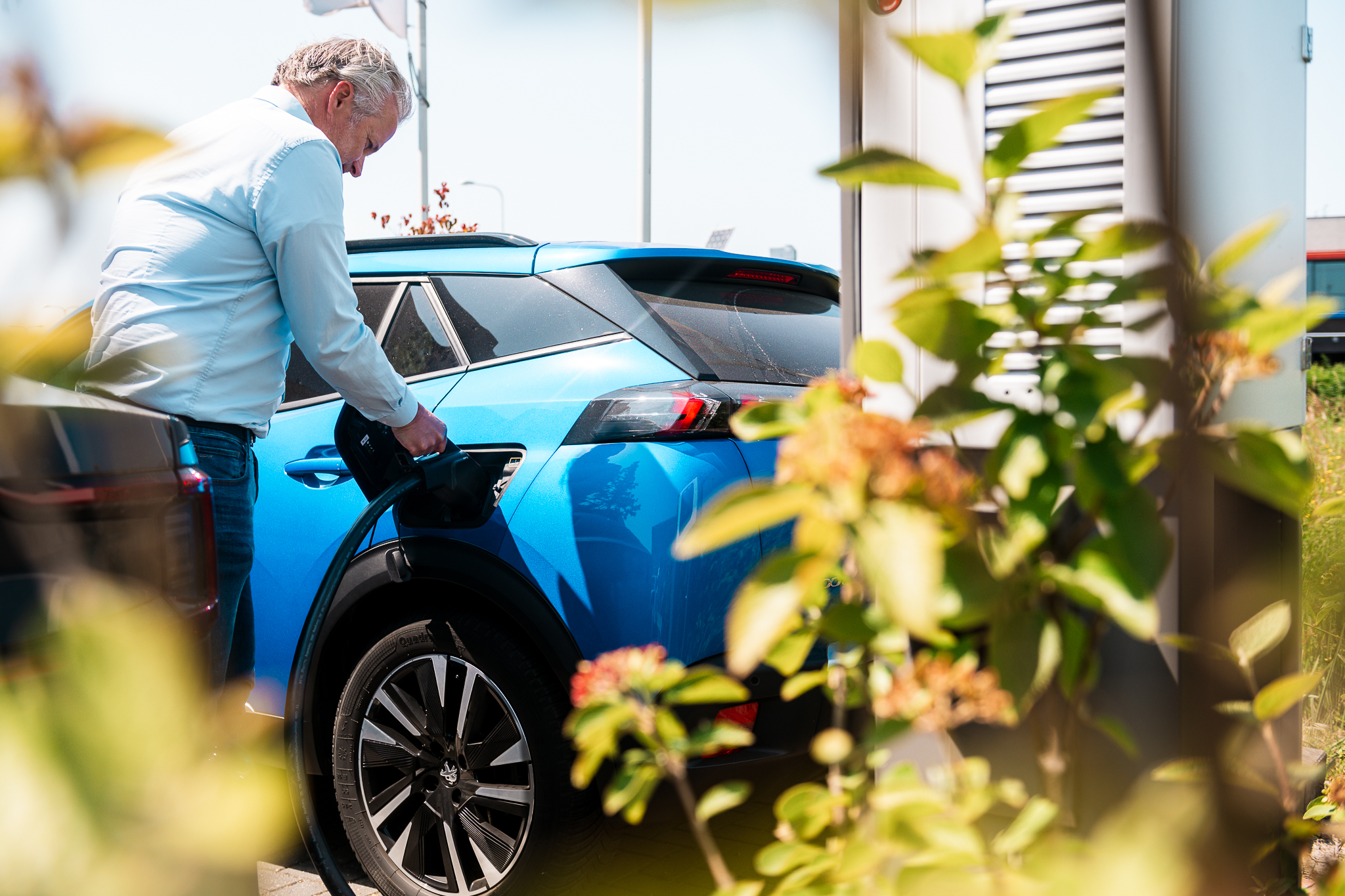 Firefly elektrisch wagenpark -