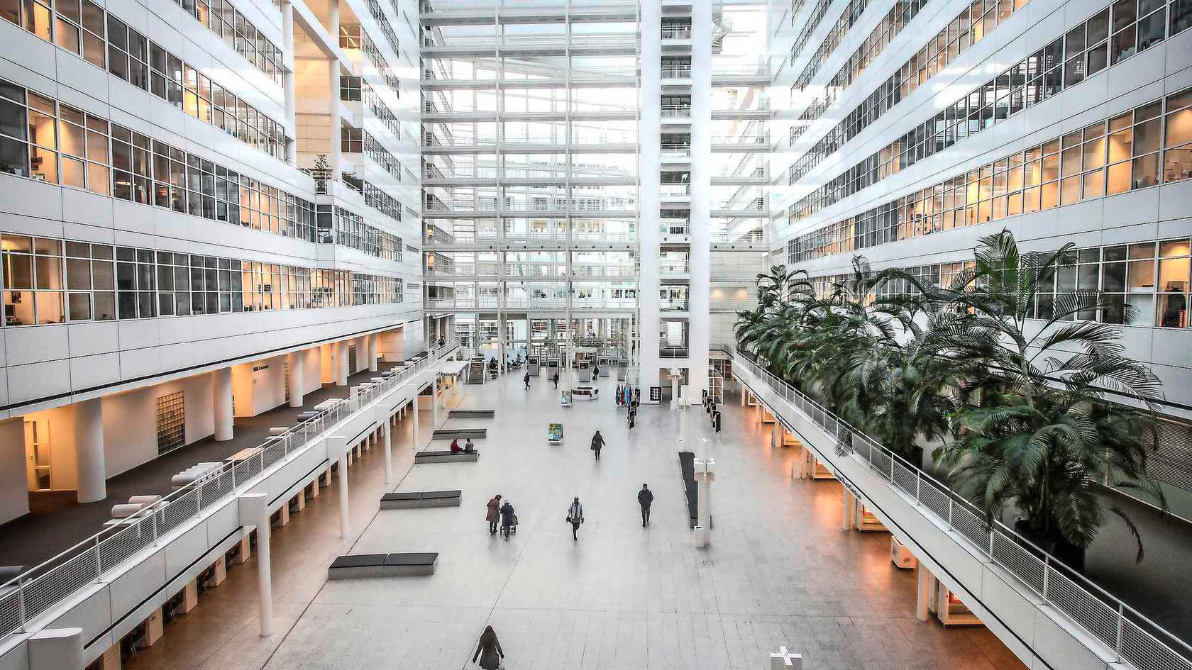Firefly project Stadhuis Den Haag